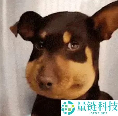 中文Meme币有哪些?该如何选择?七大热门中文Meme币盘点