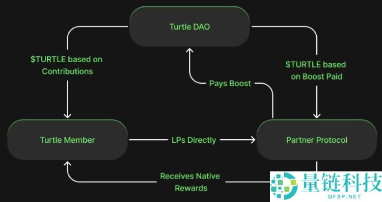 Turtle(TURLE)币是什么?怎么样?TURLE代币经济与未来前景分析