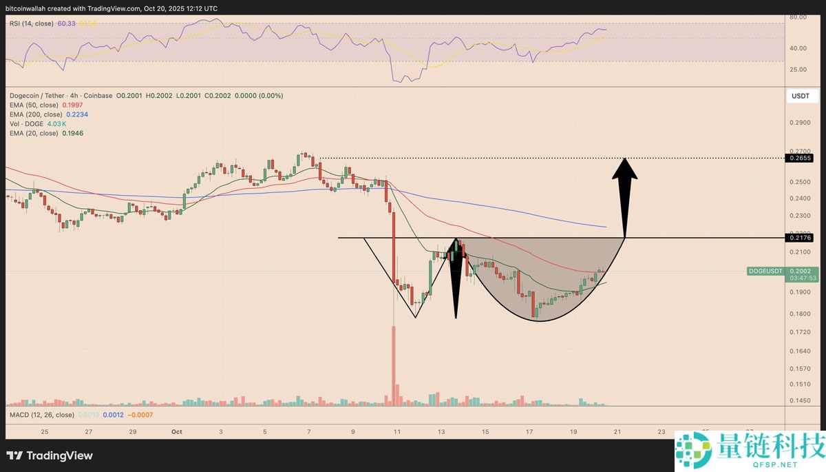 喜报：狗狗币价格在马斯克发布DOGE相关帖子后有望上涨25%