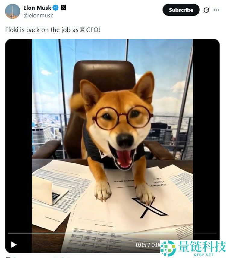 马斯克在X上发布宠物狗Floki照片，模因币暴涨29%详细了解