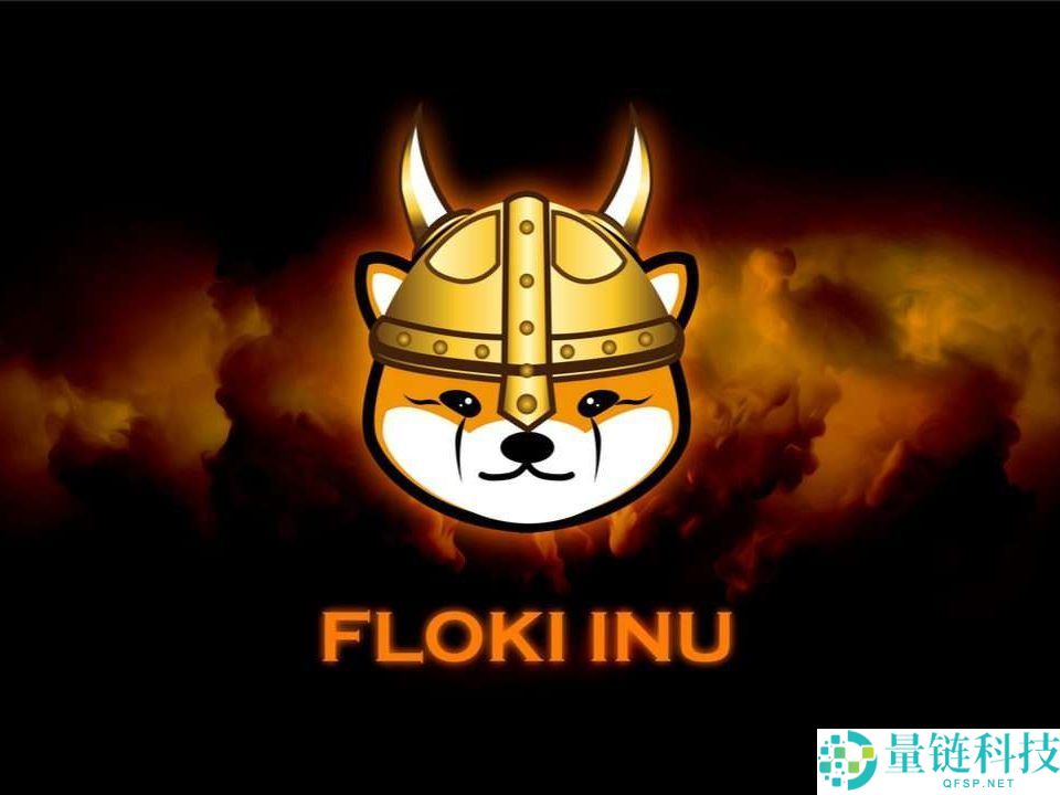FLOKI未来如何？怎么买？FLOKI价格预测：2026年、2030年、2050年