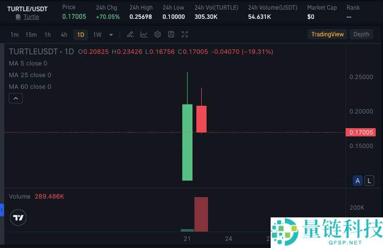 Turtle (TURTLE)币价格预测2025–2030年：它能成为下一个百倍币吗？