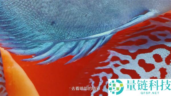 六大特技晋级伟大,华为Mate 80系列首发第二代红枫影象：实拍视频发布