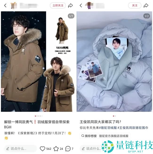 争议一直,羽绒服的高端之路还能走多远？