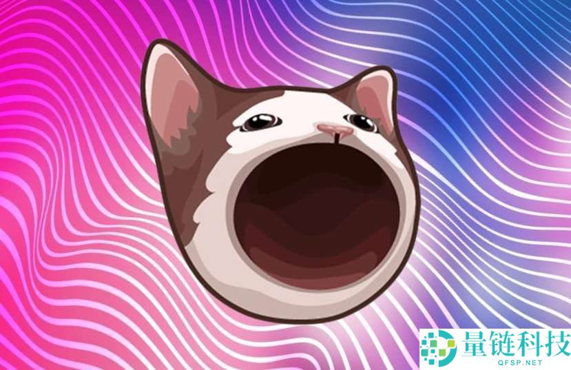 什么是POPCAT？怎么买？POPCAT工作原理、代币经济学及未来前景