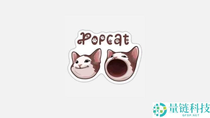什么是POPCAT？怎么买？POPCAT工作原理、代币经济学及未来前景