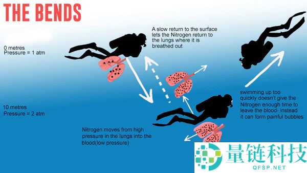 深潜后上升太快 秘鲁潜水员身体肿成鼎力海员：太苦楚,