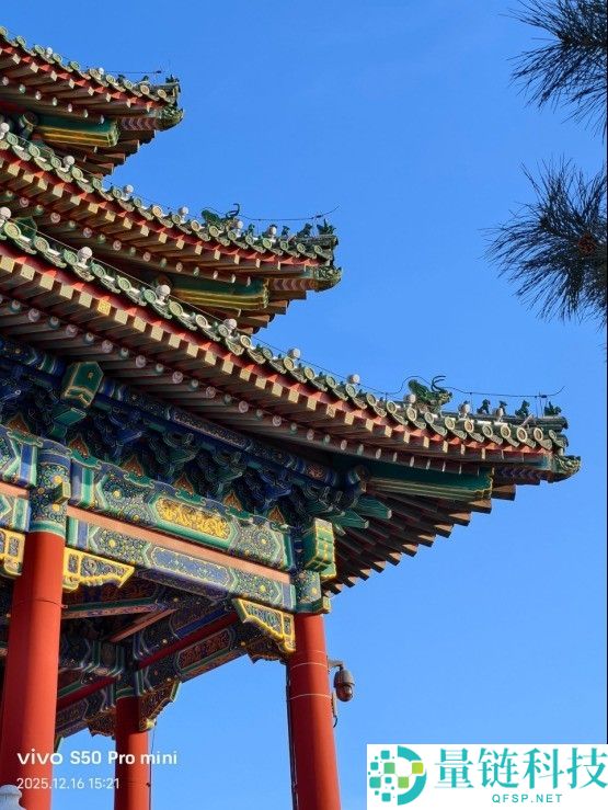 vivo S50 Pro mini上手：同档最完满的小屏旗舰