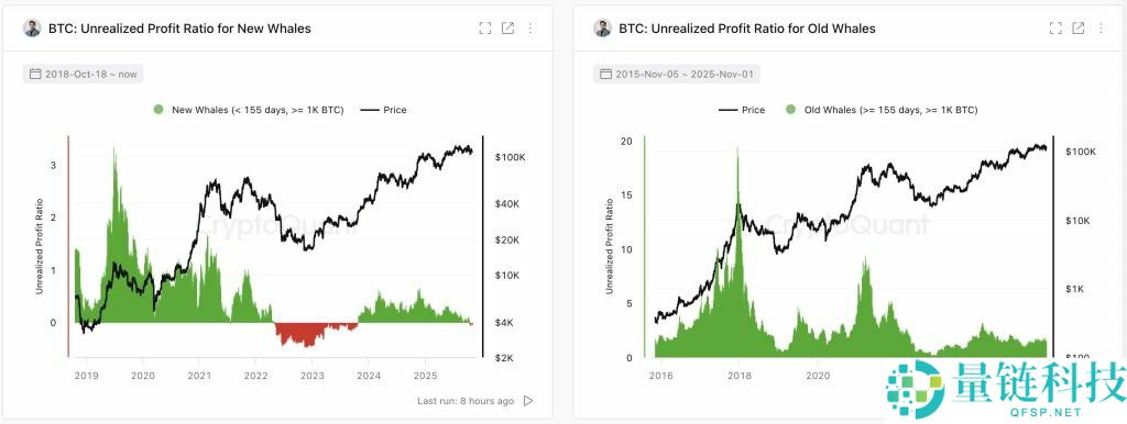 比特币（BTC）牛市：结束还是暂停？一文了解
