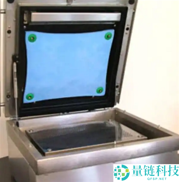 英国制止将活龙虾、螃蟹等直接投滚水煮 餐饮行业/公众怒了：人性击晕处置本钱高