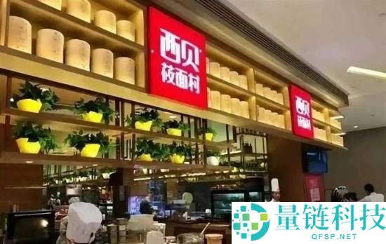 西贝贾国龙：本人犯了三个毛病 若是能重来毫不硬刚