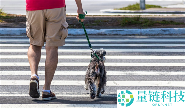 来岁起,“遛狗不拴绳伤人”将受治安处分：提拔豢养者守法本钱、保证公共保险