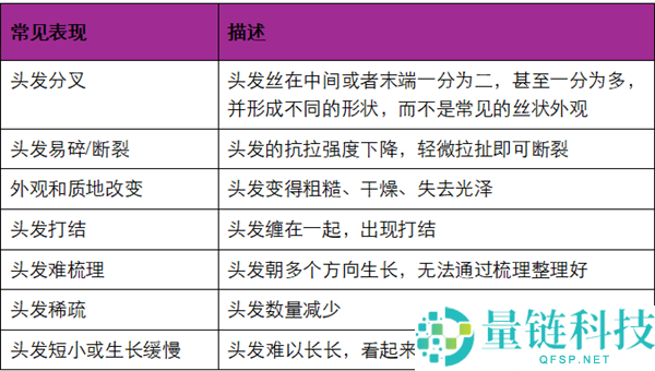 头发开叉其实是种病 良多人轻忽了,3步就能改良