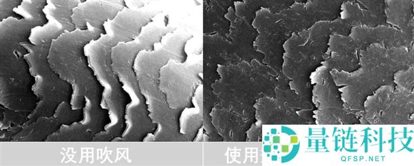 头发开叉其实是种病 良多人轻忽了,3步就能改良