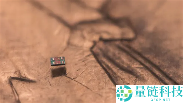 科学家造出全球最小自立机械人,比一粒盐还小 本钱仅需一美分
