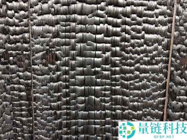 达芬奇手稿新发现：抢先日本100多年发现“烧杉板”工艺