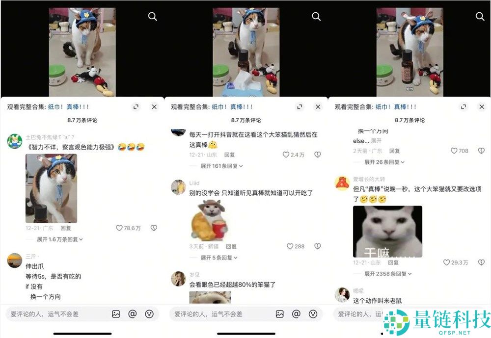 一只不会答题只会蒙的“笨猫”,凭什么承包全网笑点？
