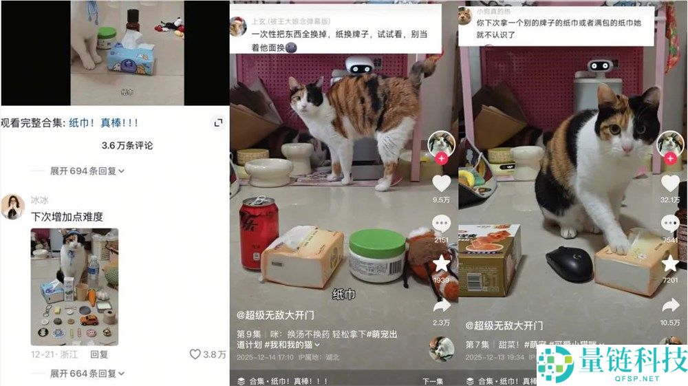 一只不会答题只会蒙的“笨猫”,凭什么承包全网笑点？