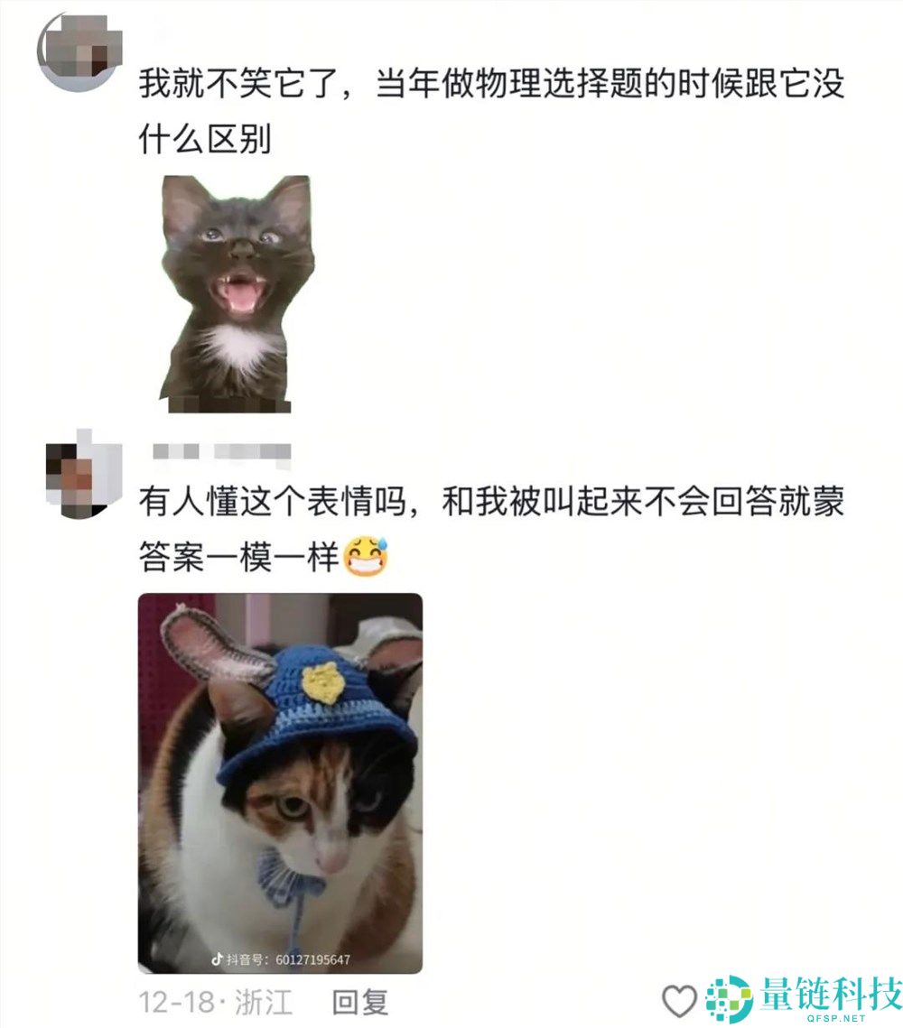一只不会答题只会蒙的“笨猫”,凭什么承包全网笑点？