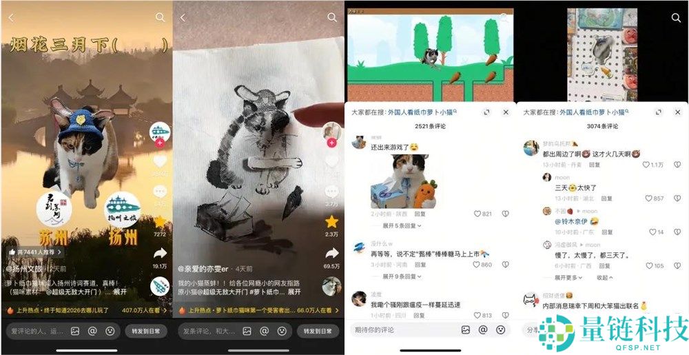 一只不会答题只会蒙的“笨猫”,凭什么承包全网笑点？