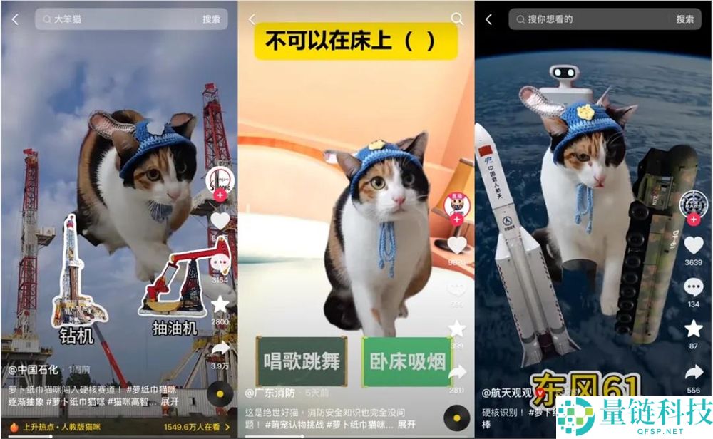 2025最后一个爆梗,“萝卜纸巾猫”事实“真棒”在哪？