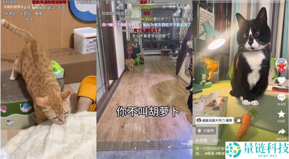 2025最后一个爆梗,“萝卜纸巾猫”事实“真棒”在哪？