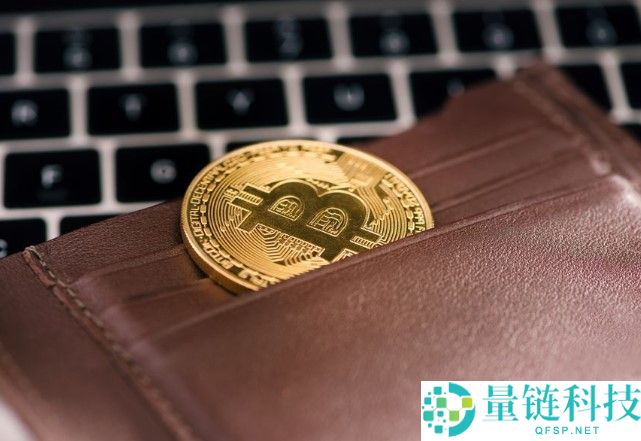 2025年冷钱包终极排名：谁最安全？