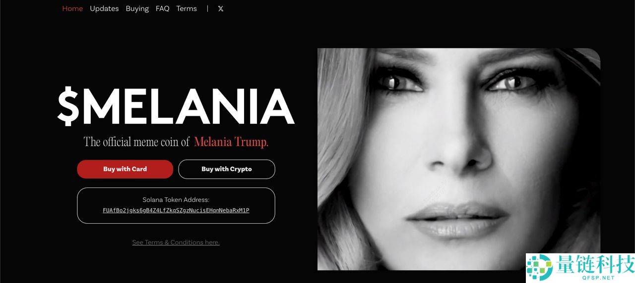 梅兰妮亚迷因币 (MELANIA)币是什么？是一项好投资吗？MELANIA 代币经济学介绍