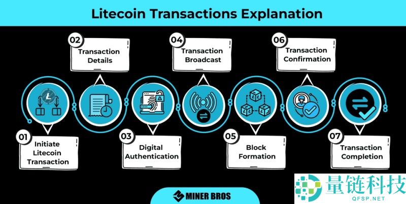 莱特币(LTC)vs比特币(BTC):有何区别?交易速度,费用和发展前景对比