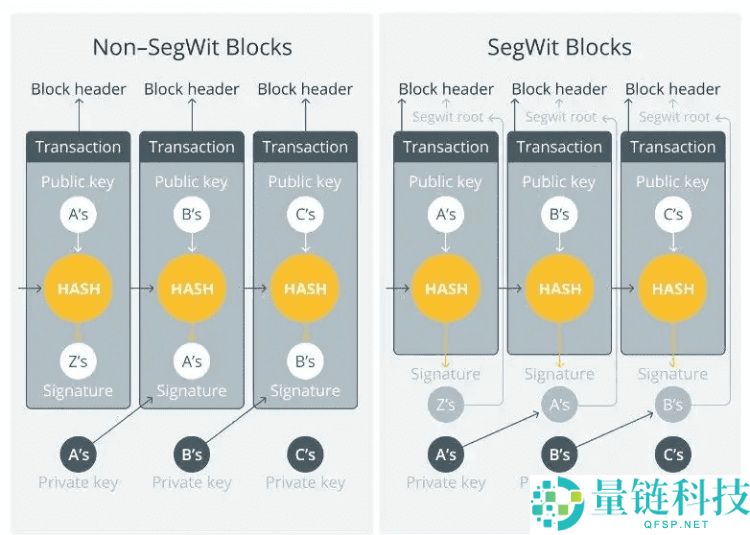 莱特币(LTC)vs比特币(BTC):有何区别?交易速度,费用和发展前景对比