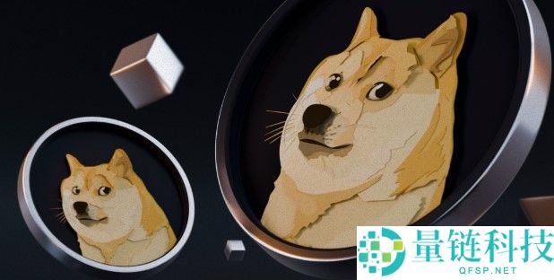 2025狗狗币值得投资吗？狗狗币风险与发展潜力