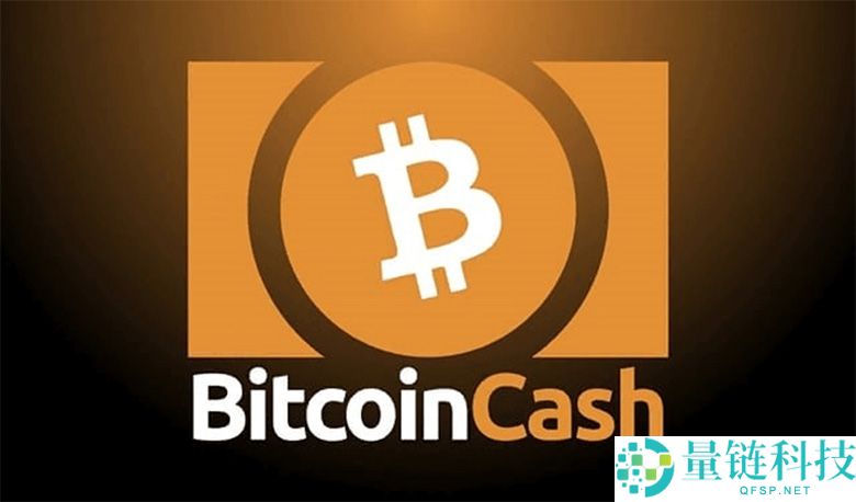什么是比特币现金（BCH）？如何运作、未来如何？如何购买BCH？
