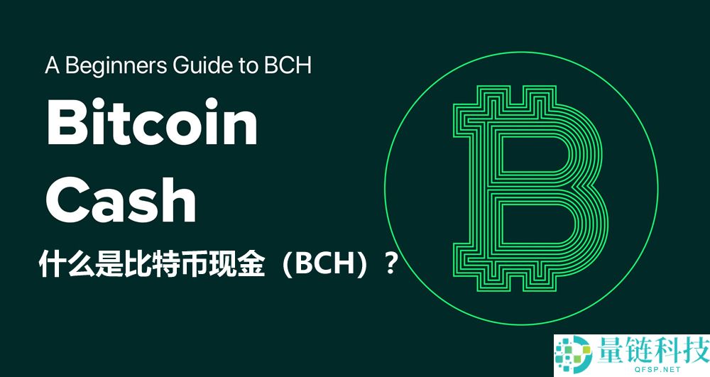 什么是比特币现金（BCH）？如何运作、未来如何？如何购买BCH？
