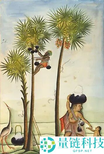 印度尼帕病毒暴发,千万不要碰路边摊的这一类东西