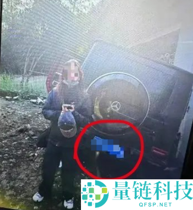 演员金晨被曝闯祸逃逸让助理顶包 交警回应：正在核实