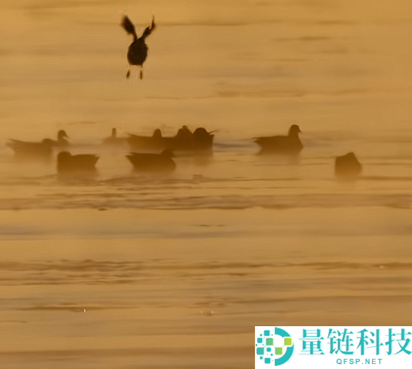 奇迹呈现,内蒙古演出“水煮黄河”：好像仙境