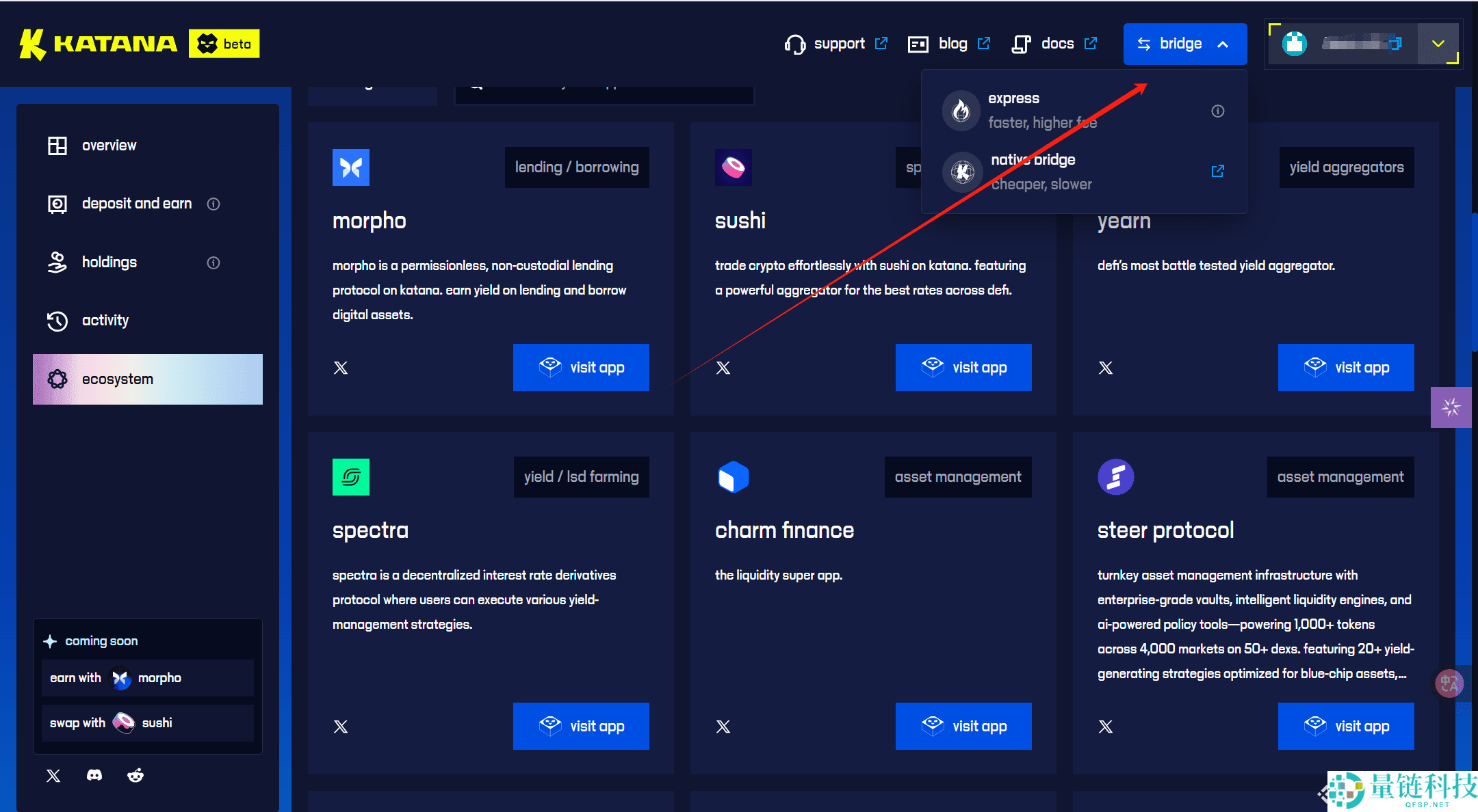 专为DeFi设计的公链Katana详细交互教程