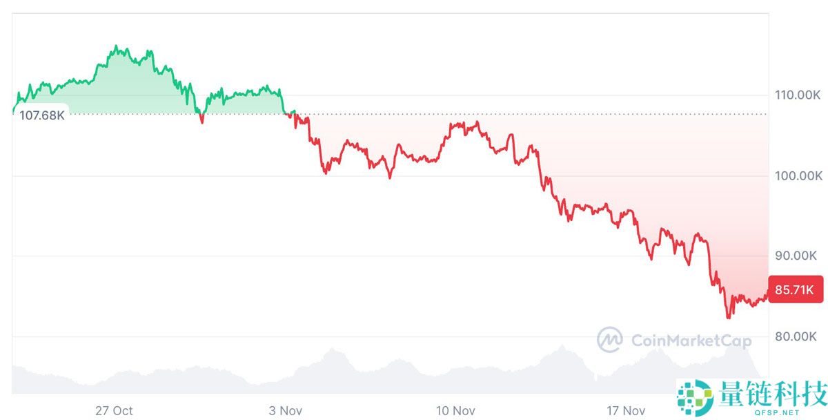 Lyn Alden：加密市场尚未达到”狂热水平“，比特币（BTC）不会出现重大崩盘