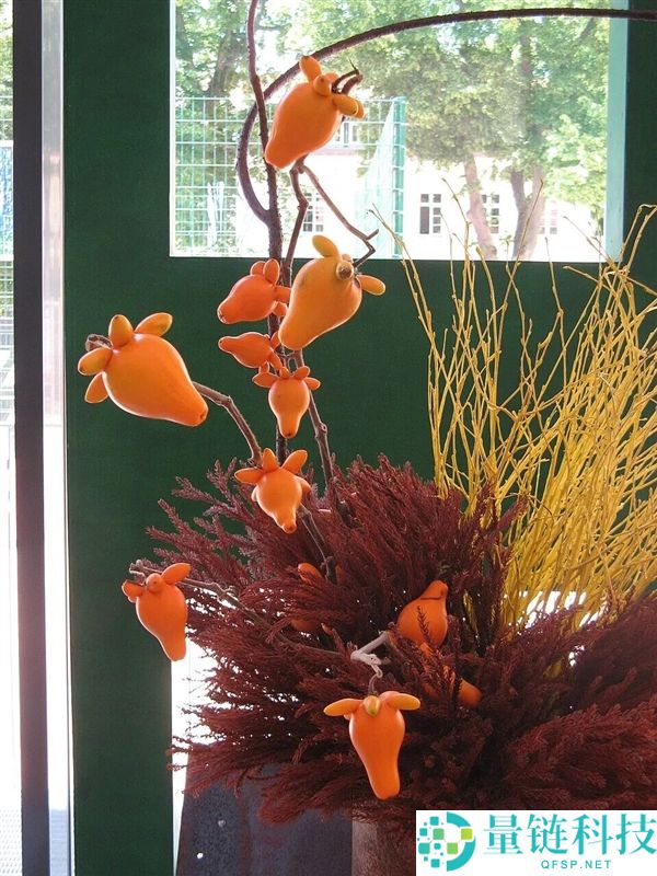 过年摆它想招财 咬一口却进病院