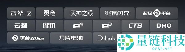 2025车企复购率榜单出炉：比亚迪车主复购率30.55%位居第一