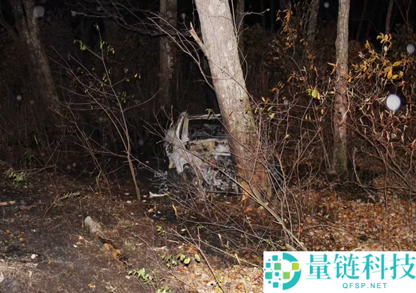 特斯拉Model Y车祸起火后车门打不开 20岁男人报警后身亡