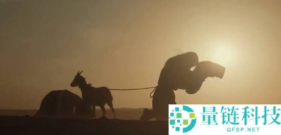 你看没,爆火大剧《承平年》现吃人、牵羊礼等局面 导演回应让网友缄默