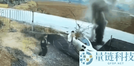 着火了乘客不会开门 怪车企乱学特斯拉吗