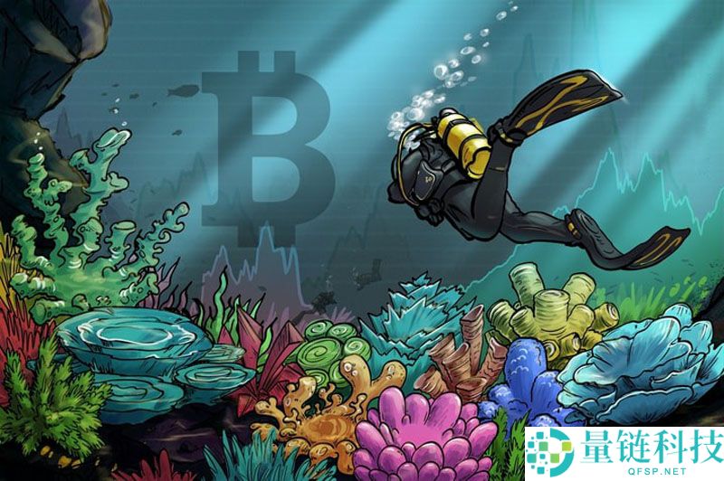 一文了解11月比特币（BTC）价格下跌20%，预计将在“本周”触底