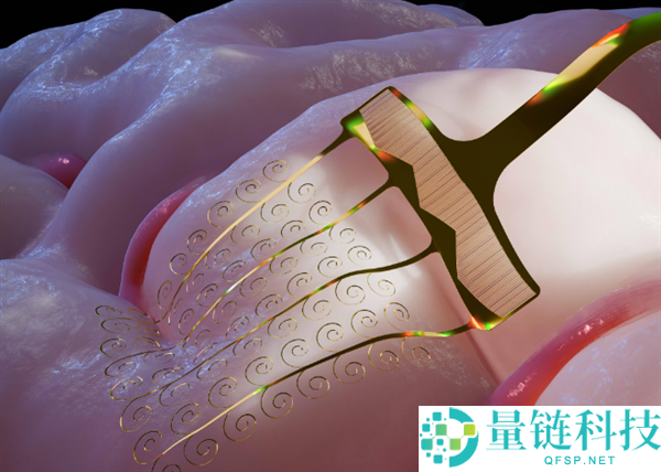 我国研制新型可拉伸柔性电极 破解脑机接口中心困难