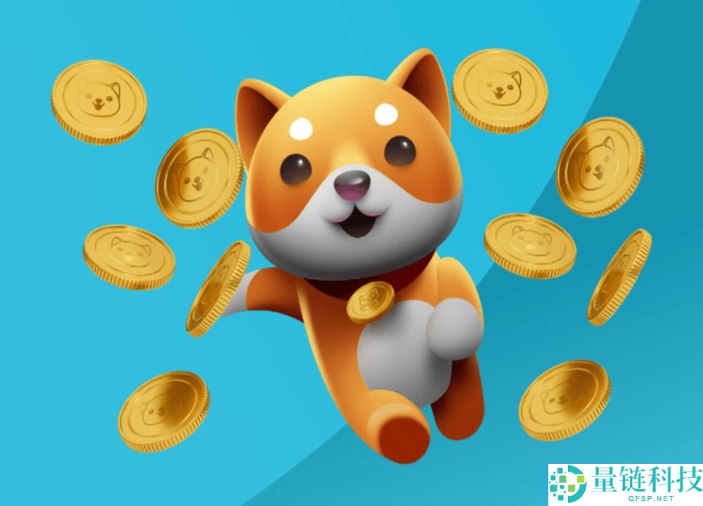什么是BABYDOGE币？BABYDOGE代币经济学、未来前景及购买指南