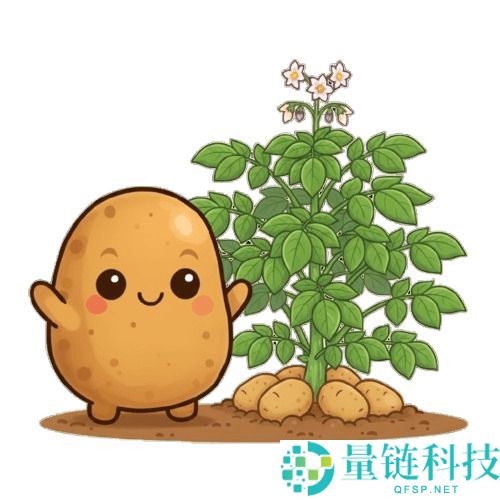 什么是 Potito (PTTO) 币？深度解析代币经济学、核心亮点与 2024 价格预测