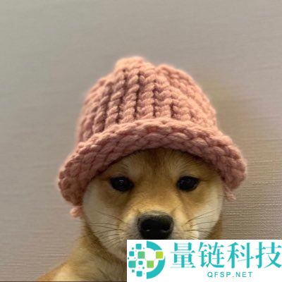 2026 年加密货币市场预测：比特币、以太坊及潜力山寨币投资指南