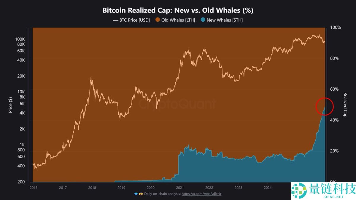 新比特币鲸鱼如何重塑市场结构？一文详解对 BTC 价格的影响