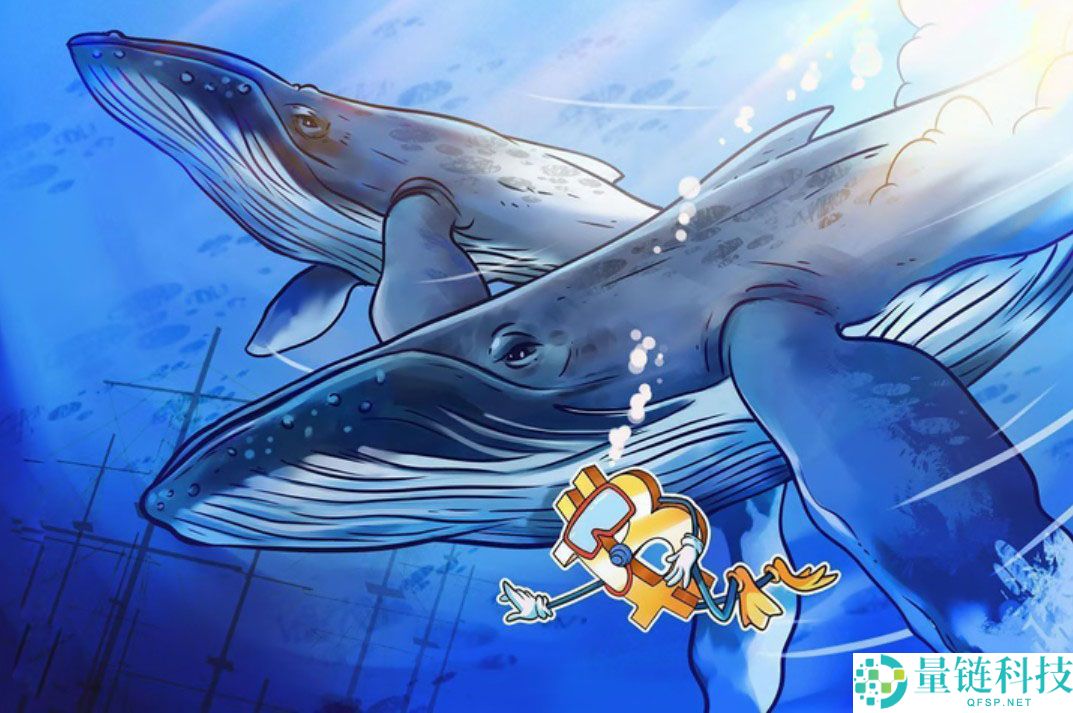 新比特币鲸鱼如何重塑市场结构？一文详解对 BTC 价格的影响